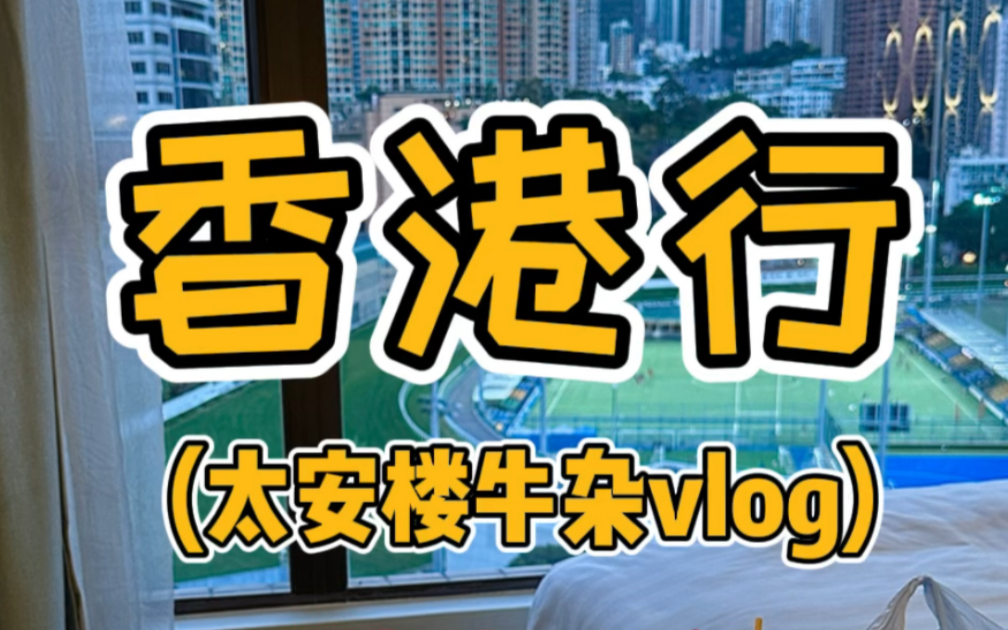 香港太安楼牛杂vlog哔哩哔哩bilibili