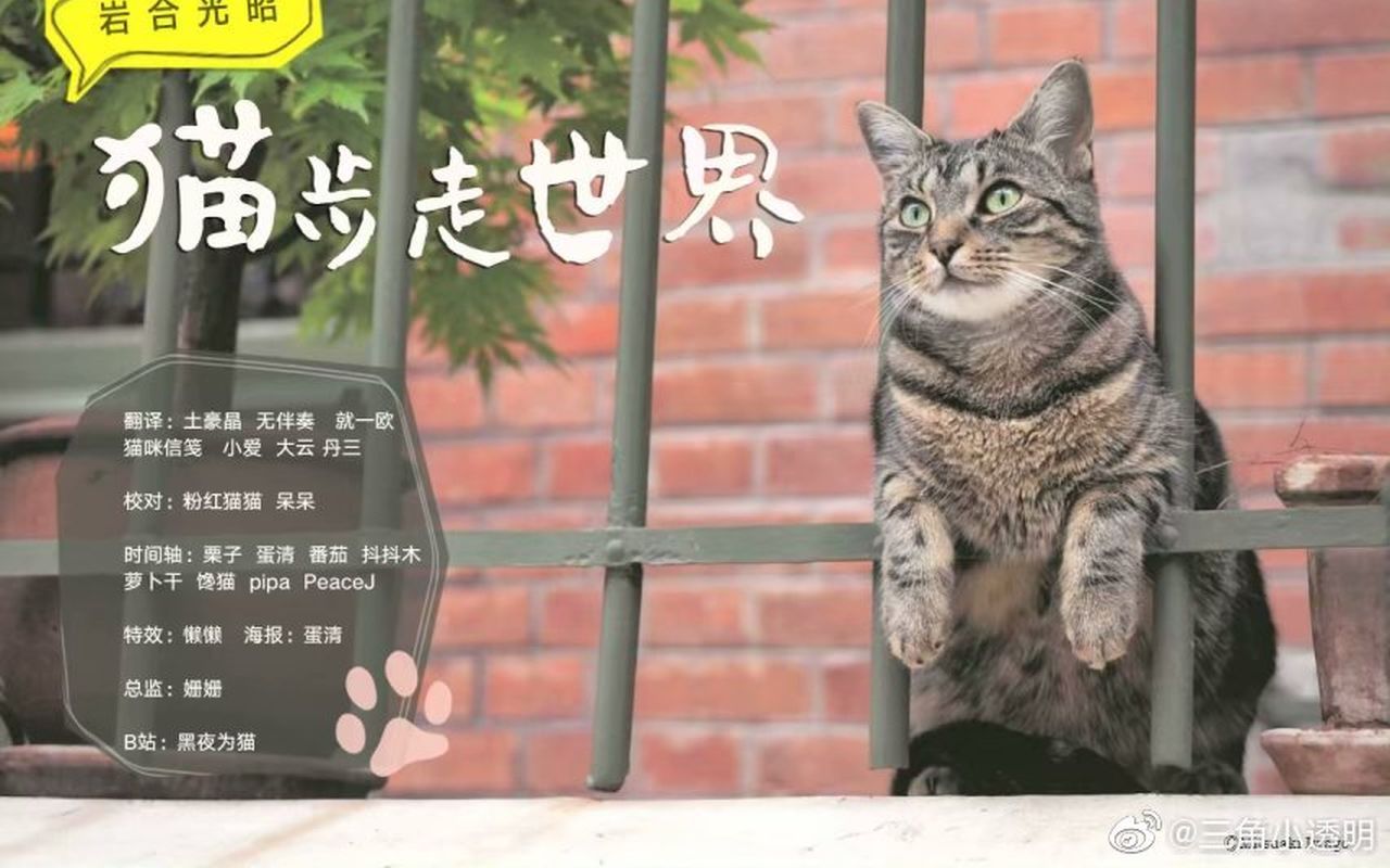 【纪录片】猫步走世界【三角字幕组合集】哔哩哔哩bilibili