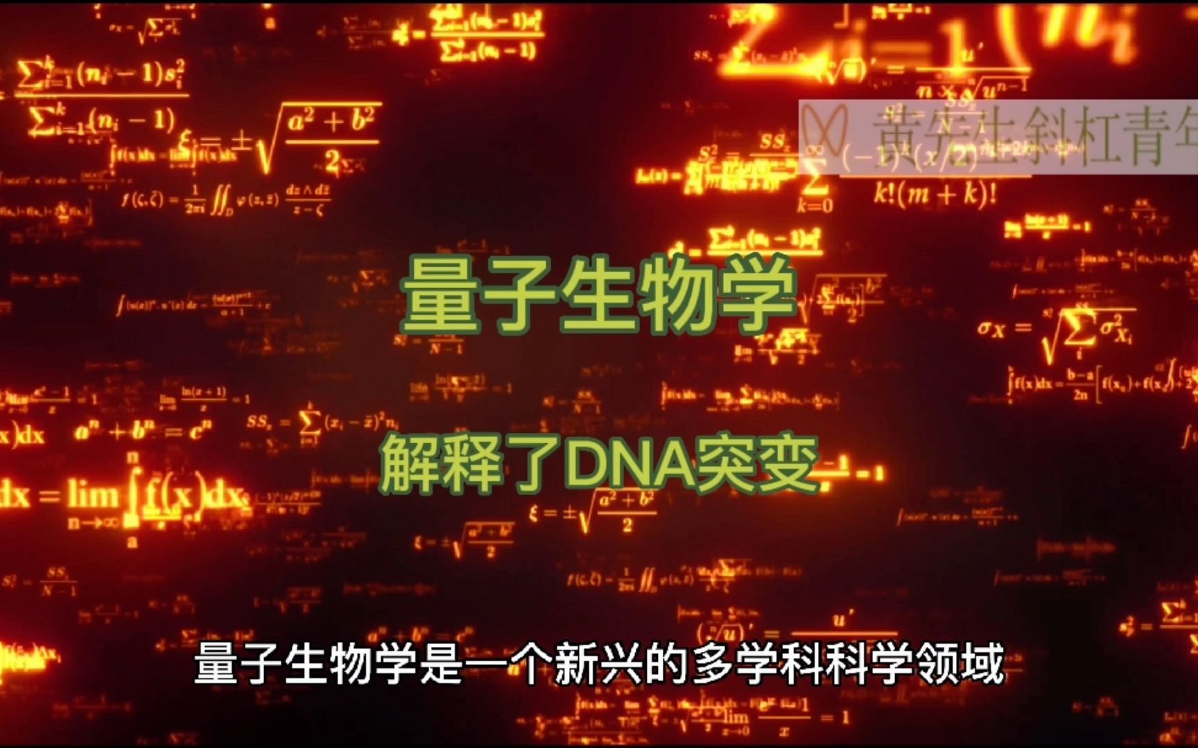 量子生物学解释了DNA突变哔哩哔哩bilibili