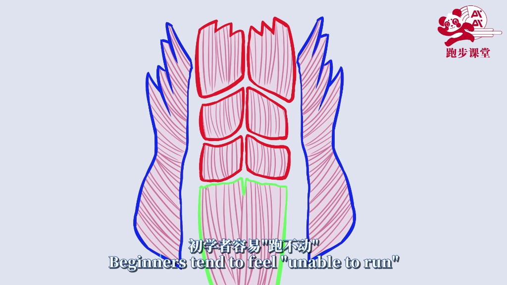 [图]跑步课堂⑰ | 跑步力量训练示范，收藏！
