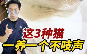 Download Video: 养这3种猫的铲屎官，都是狠人