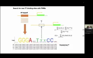 下载视频: 咖啡时间7:  TRANSFAC 对不同模式生物的应用