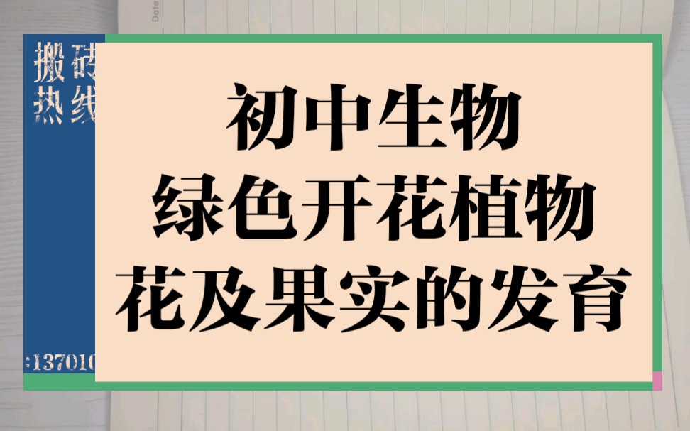 【初中生物】花的结构及果实的对应发育哔哩哔哩bilibili