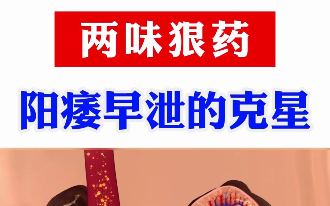 两味狠药,打通宗筋血管,助力生举更有劲儿,男人的福音