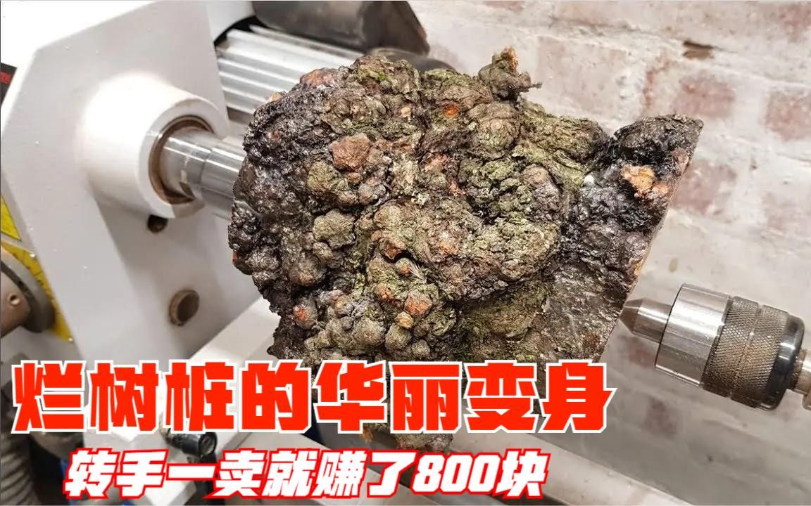 [图]买来一节烂树桩，将它加工改造成精品，转手一卖直接净赚800块！