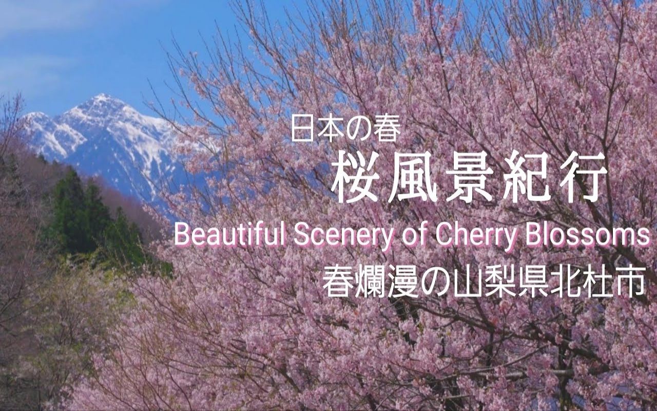 [图]【日本巡礼-19.山梨県】北杜市 桜風景紀行 |  Beautiful Scenery of Cherry Blossoms