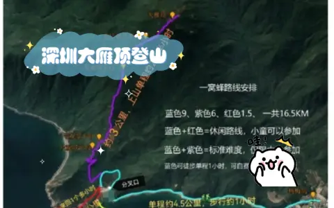 深圳大雁顶登山