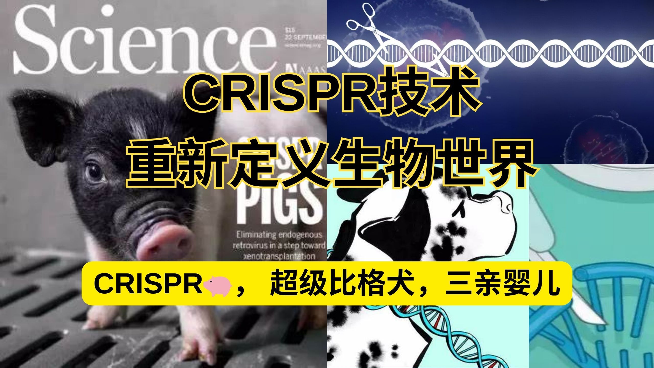 CRISPR技术重新定义生物世界哔哩哔哩bilibili