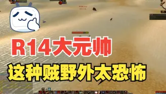 遇到R14大元帅盗贼散件NAXX毕业，这种盗贼真是野外恐怖的存在。