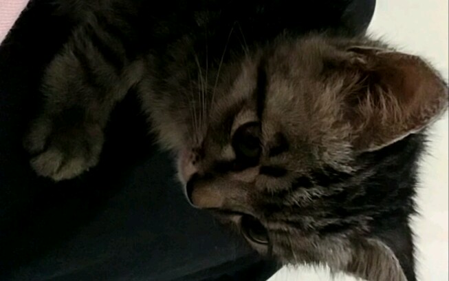 喝完立马进入贤者模式 还打了个饱嗝 哈哈 您可真可爱