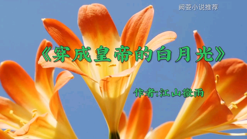 [图]老书迷小说推荐《穿成皇帝的白月光》作者：江山微雨，已完结，宫廷侯爵，穿越时空，女配，穿书。