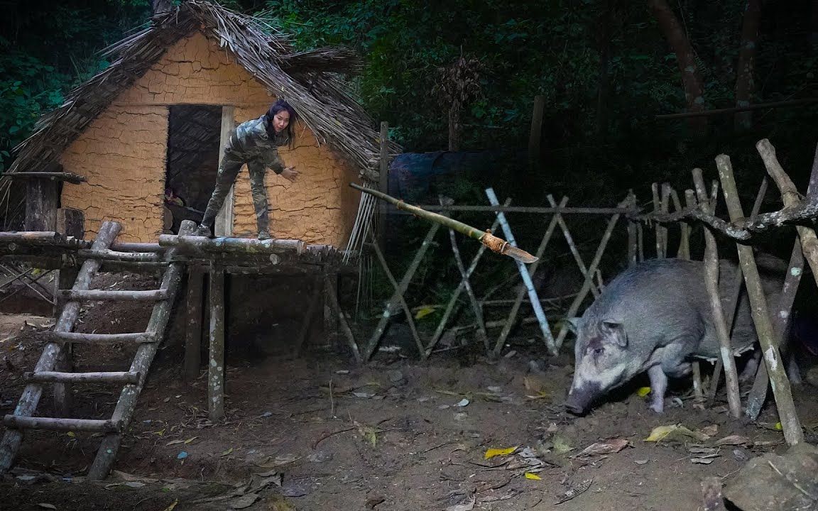 为了躲避侵扰野外建造庇护所,被一群野猪侵扰,打造武器与其抗衡哔哩哔哩bilibili