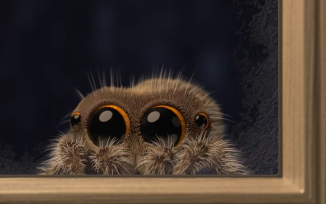 小蜘蛛卢卡斯 表情包图片