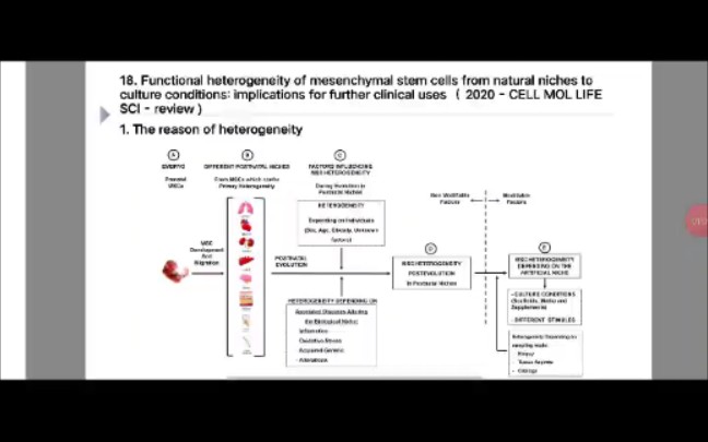 MSC文献阅读一篇关于MSC功能异质性heterogeneity的综述哔哩哔哩bilibili