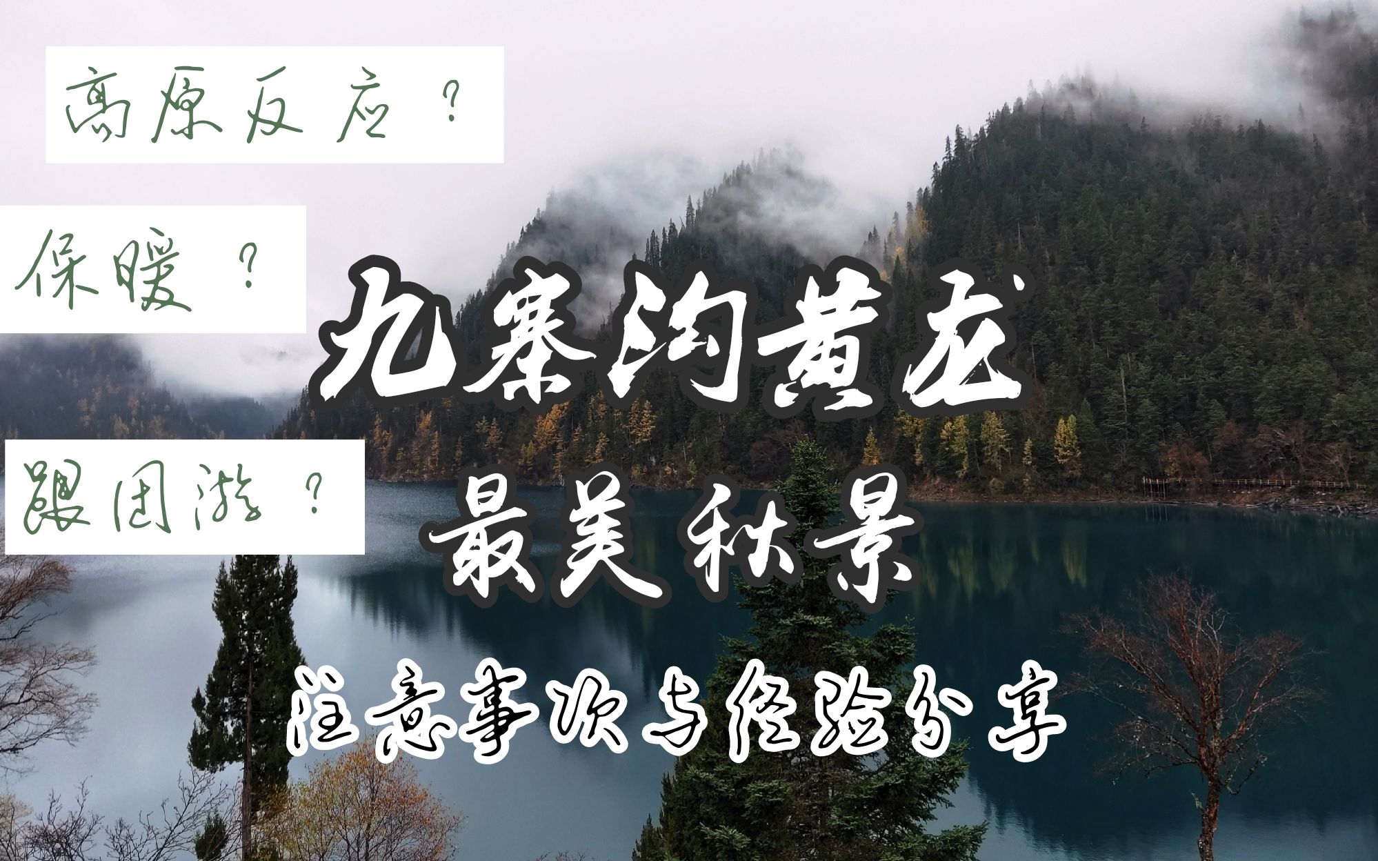 【都江堰九寨黄龙三日行】地震后重新开放的最美秋景,含注意事项与游玩感受!高反与保暖?跟团游的局限?哔哩哔哩bilibili