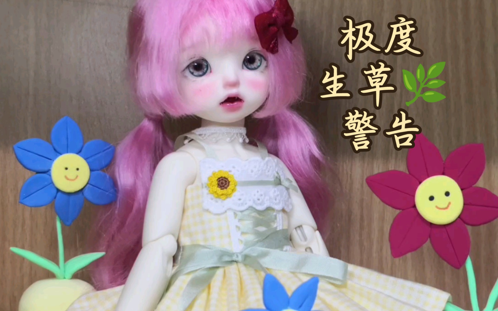 marenol预警》bjd混剪》可可爱爱的美穗和小蓝花》》》