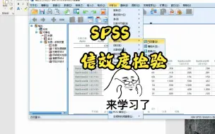 Download Video: 量表信效度检验SPSS