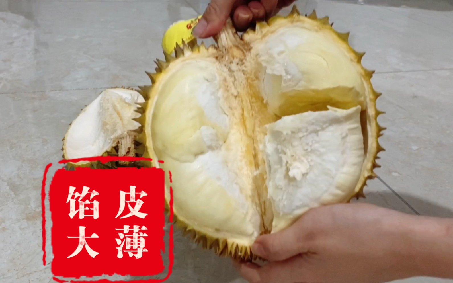 谁还没看过我这颗王炸榴莲!