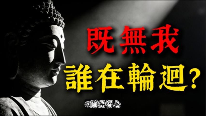 既然“无我”，那轮回的究竟是谁？ 佛法三千年最大悖论，深度解析「无我而有轮回」的惊人真相。