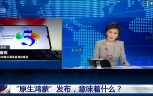 Download Video: 央视长达21分钟报道:原生鸿蒙发布，意味着什么？