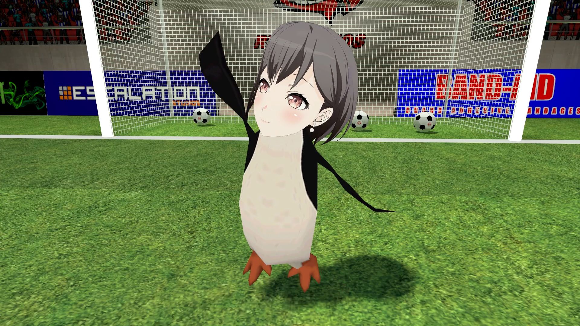 🐧世界杯来了🐧