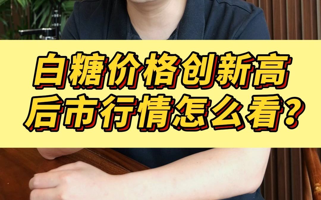 0810白糖价格创新高,后市行情怎么看?哔哩哔哩bilibili