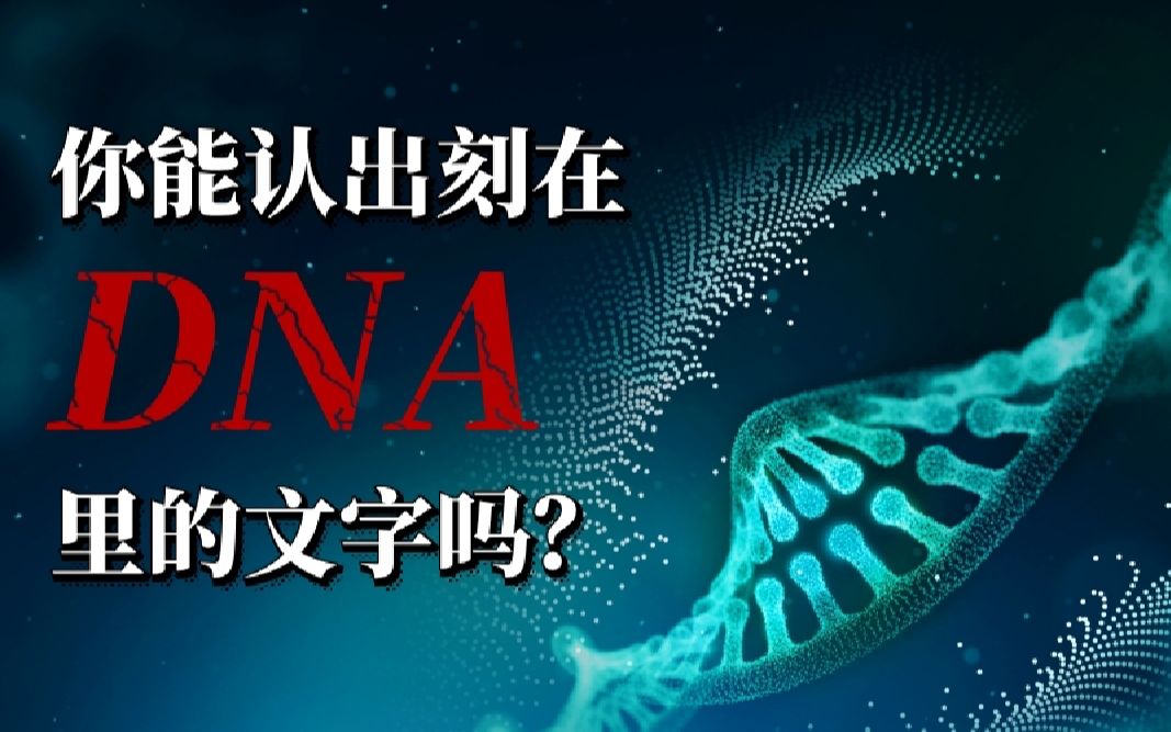 【互动测试】刻在你DNA里的上古文字!你能认出几个?哔哩哔哩bilibili