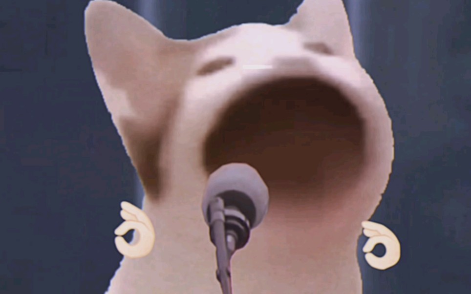 popo猫就职演讲的珍贵历史资料