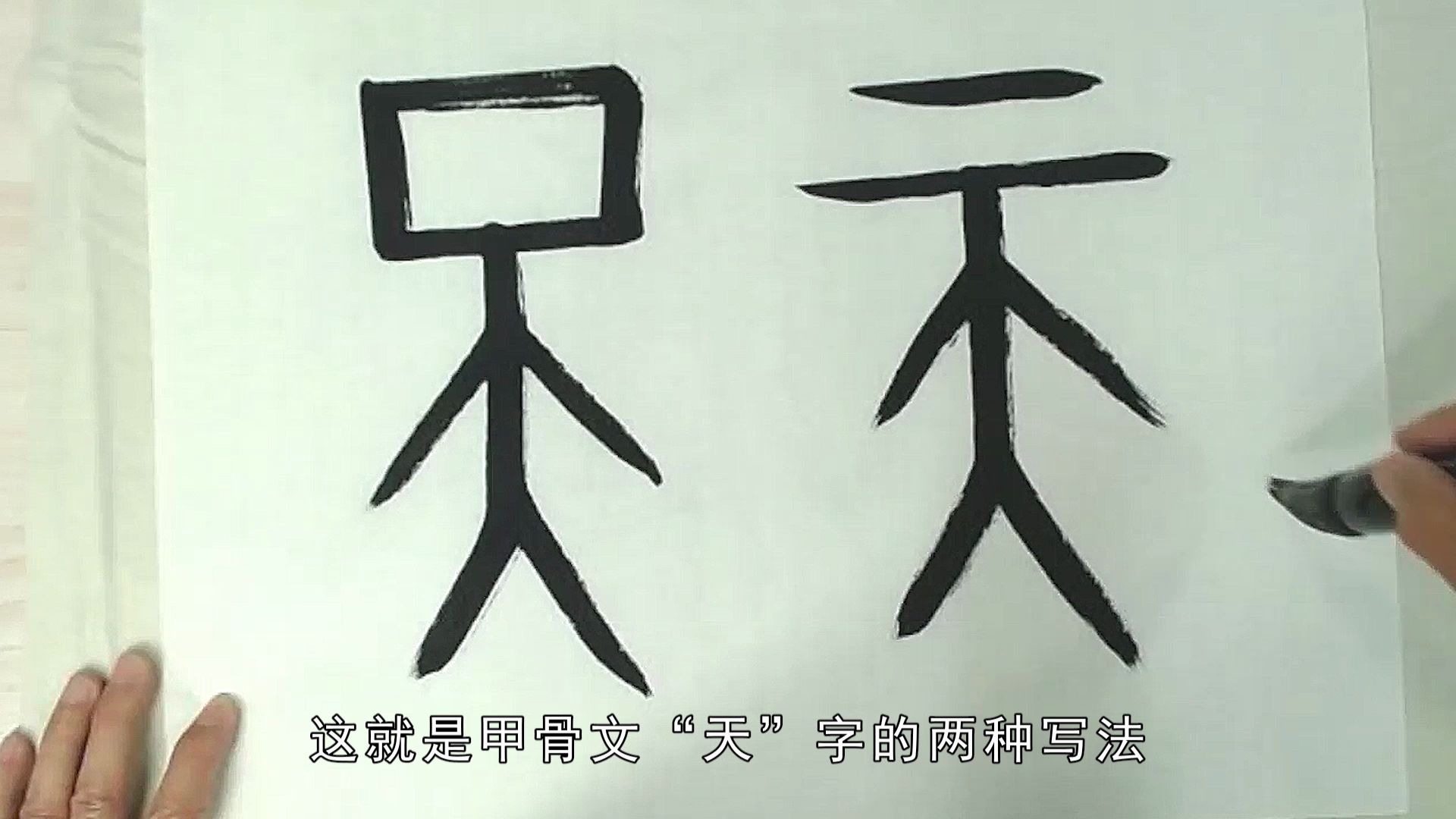 天字的甲骨文图片