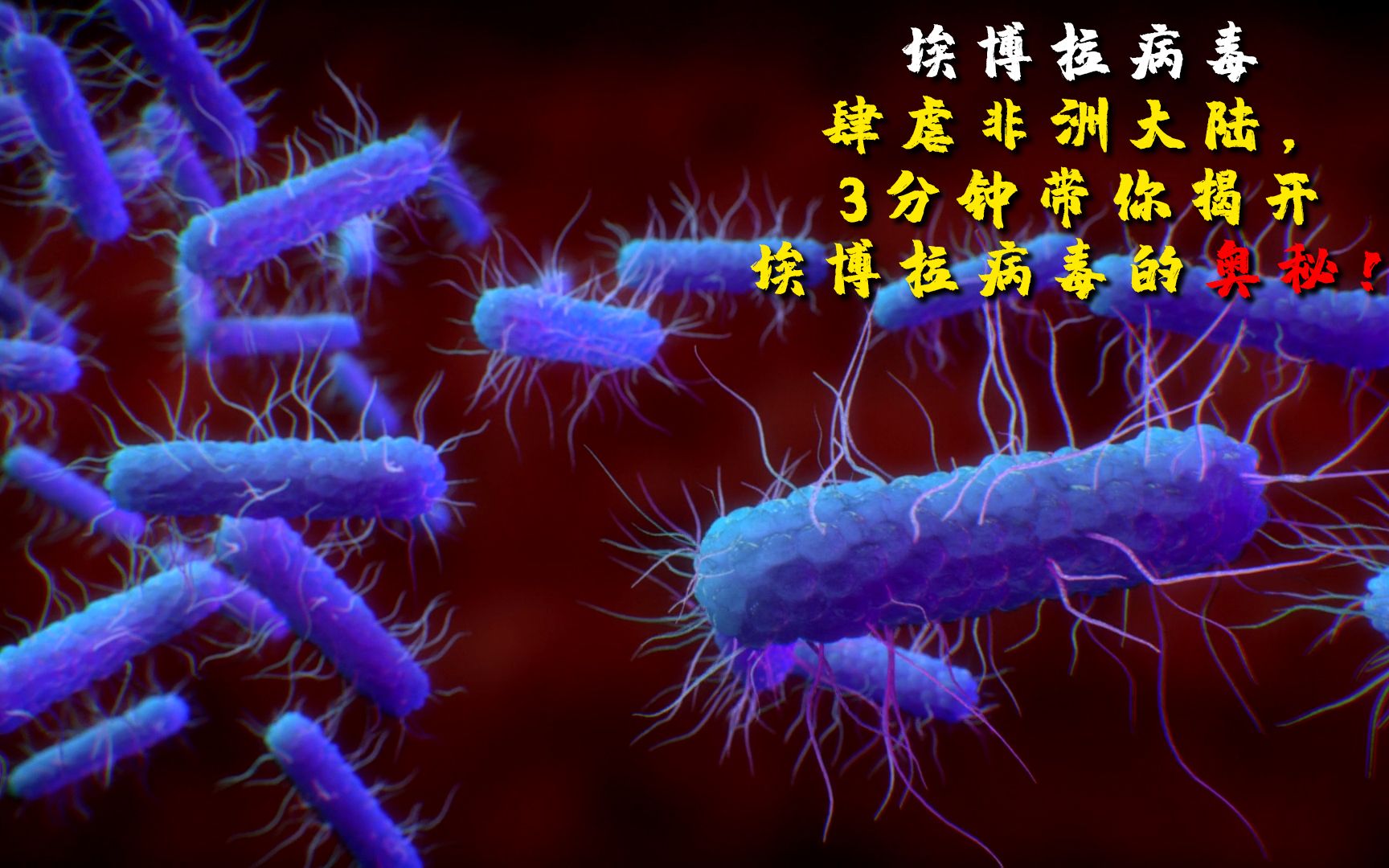 [图]埃博拉病毒肆虐非洲大陆，3分钟带你揭开埃博拉病毒的奥秘！