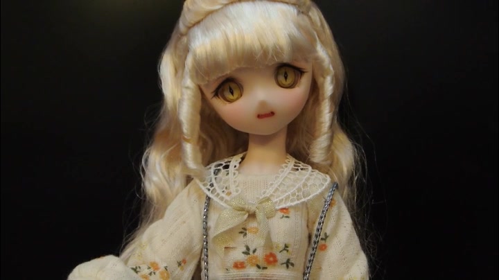 【BJD】bjd新人必须知道的事之2,二手交易规则哔哩哔哩bilibili