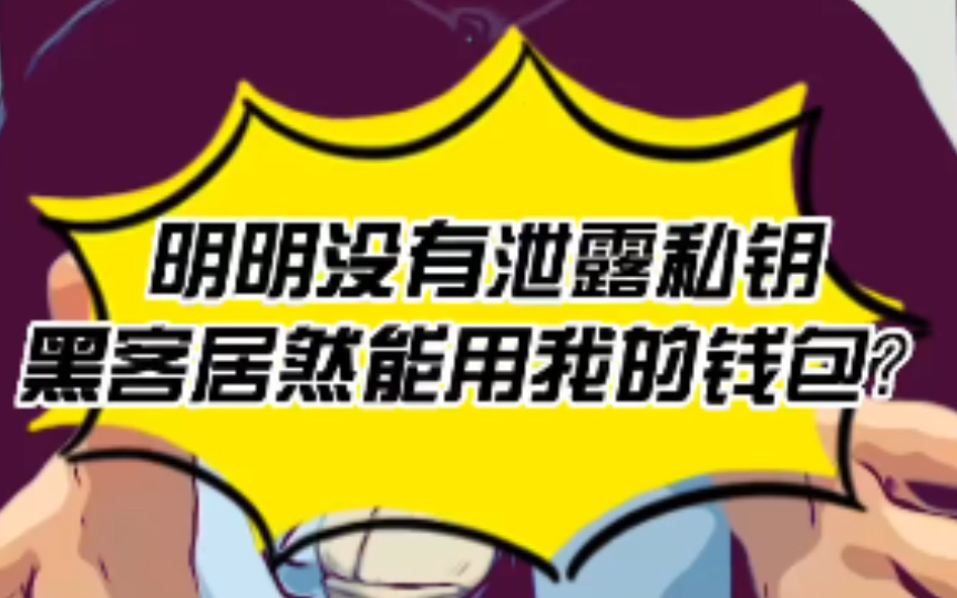 没有泄露私钥,为什么黑客能操作我的钱包?什么是观察钱包?什么是只读钱包?哔哩哔哩bilibili