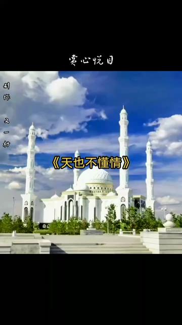 《天也不懂情》