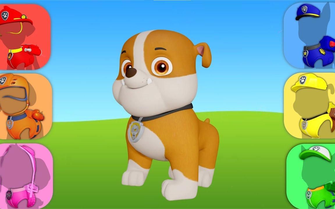 汪汪队立大功:哪一套装备是狗狗小砺的呢?