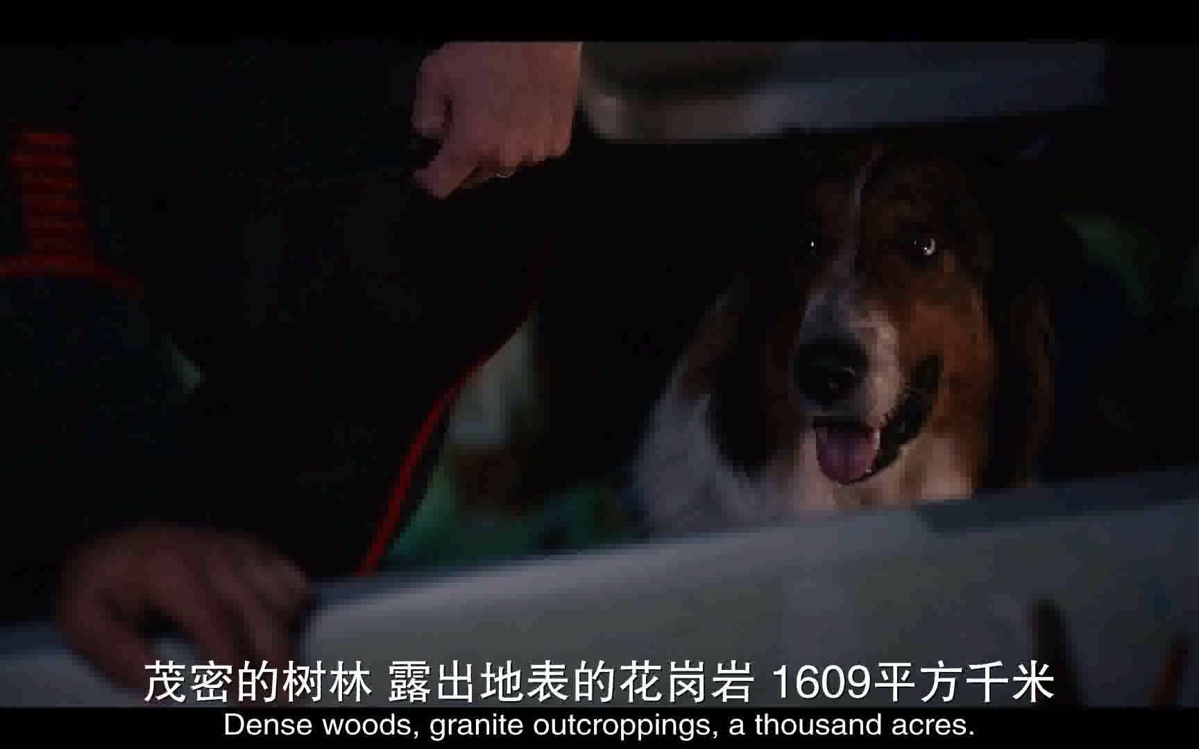 [图]义犬救主_38