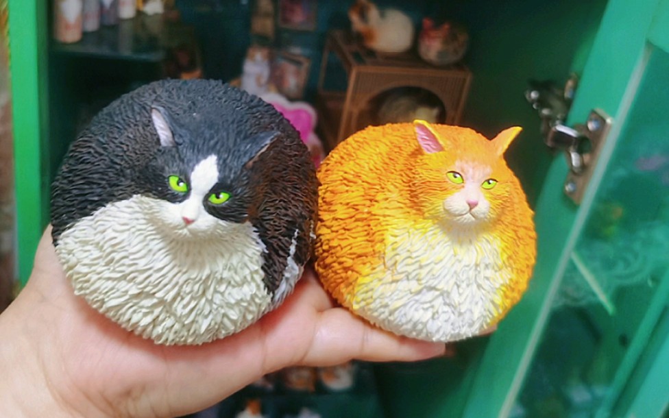 动物星球 沙雕系列 肥猫,哈哈 手办柜日渐壮大7815