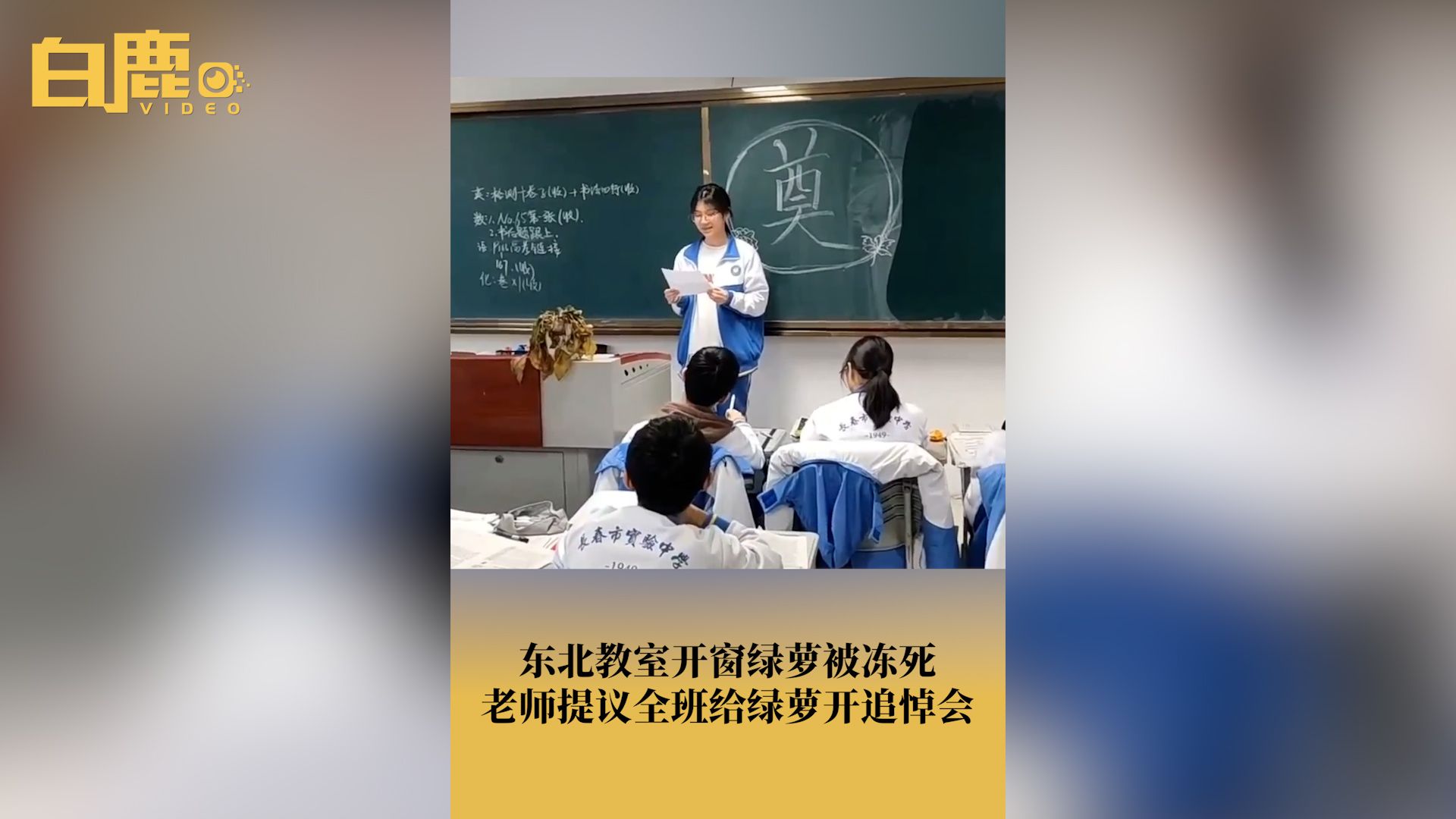 老师带全班学生为绿萝开追悼会哔哩哔哩bilibili