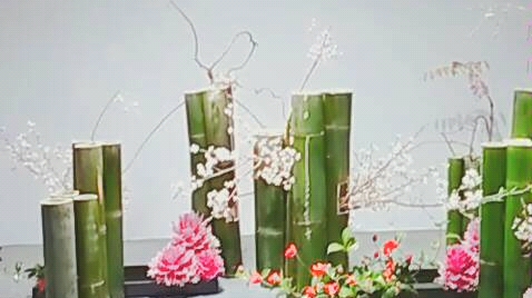 [图]2019花间清游厦门小原流花道展