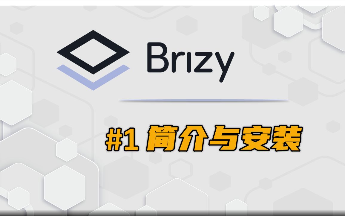 Brizy教学 #1 简介与安装 | WordPress建站工具简介 | 如何安装Brizy高级版哔哩哔哩bilibili