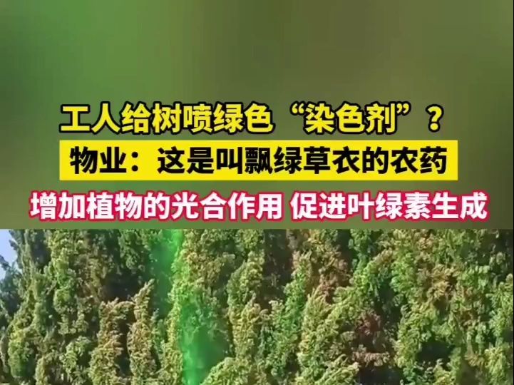 工人给树喷绿色“染色剂”?物业:这是叫飘绿草衣的农药,增加植物的光合作用促进叶绿素生成哔哩哔哩bilibili