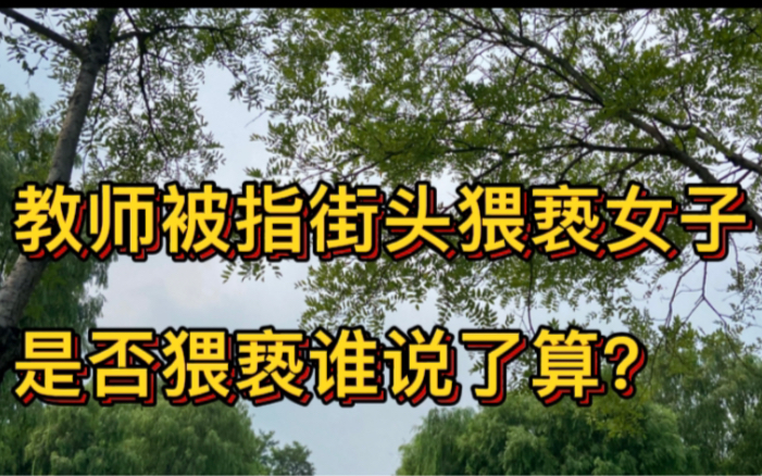 荆门一中学教师被指街头猥亵女子,是否猥亵谁说了算?哔哩哔哩bilibili