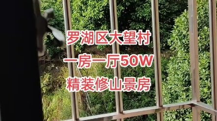 深圳罗湖大望精装修山景房一房一厅50W送全屋家私家电哔哩哔哩bilibili