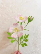 Tải video: 挑战用扭扭棒做1000种花卉（丽达玫瑰）