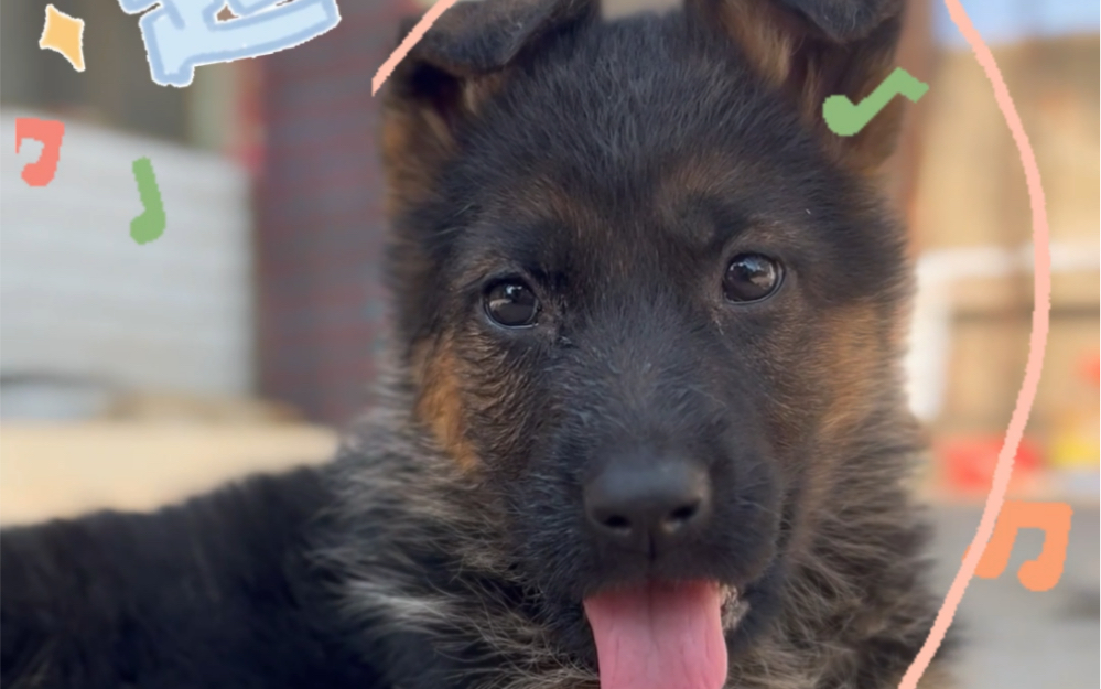 敲可耐,这迷离的小眼神