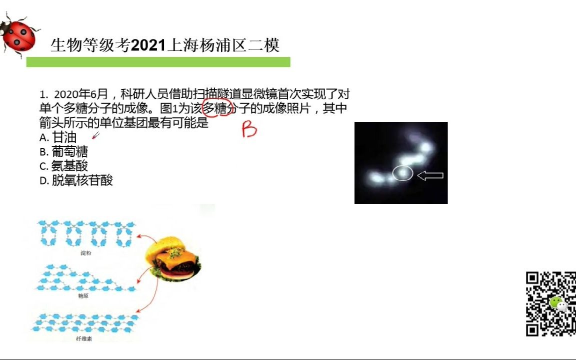 生物等级考2021上海杨浦区二模选择题讲评哔哩哔哩bilibili