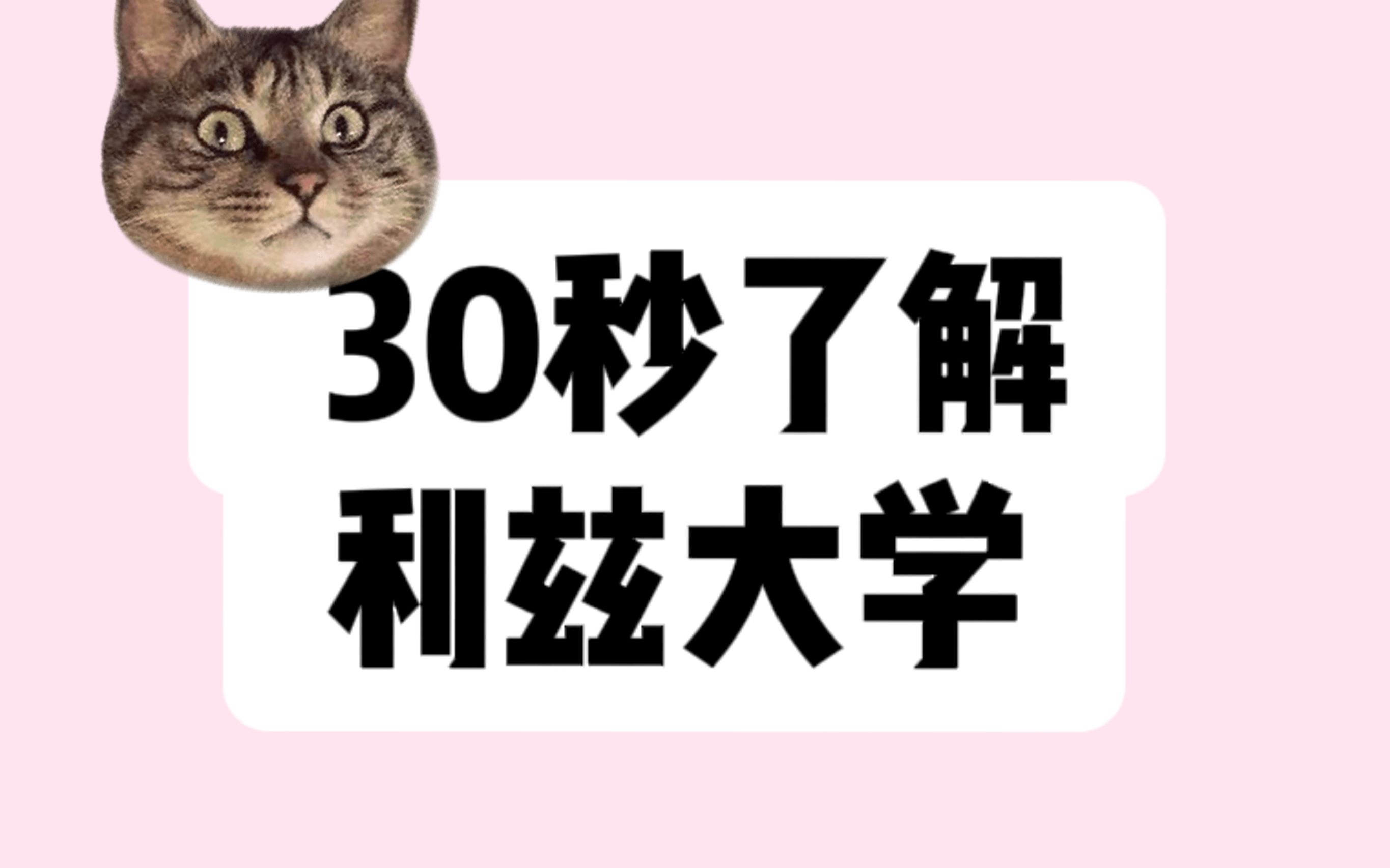 干货速递!30秒了解利兹大学!哔哩哔哩bilibili