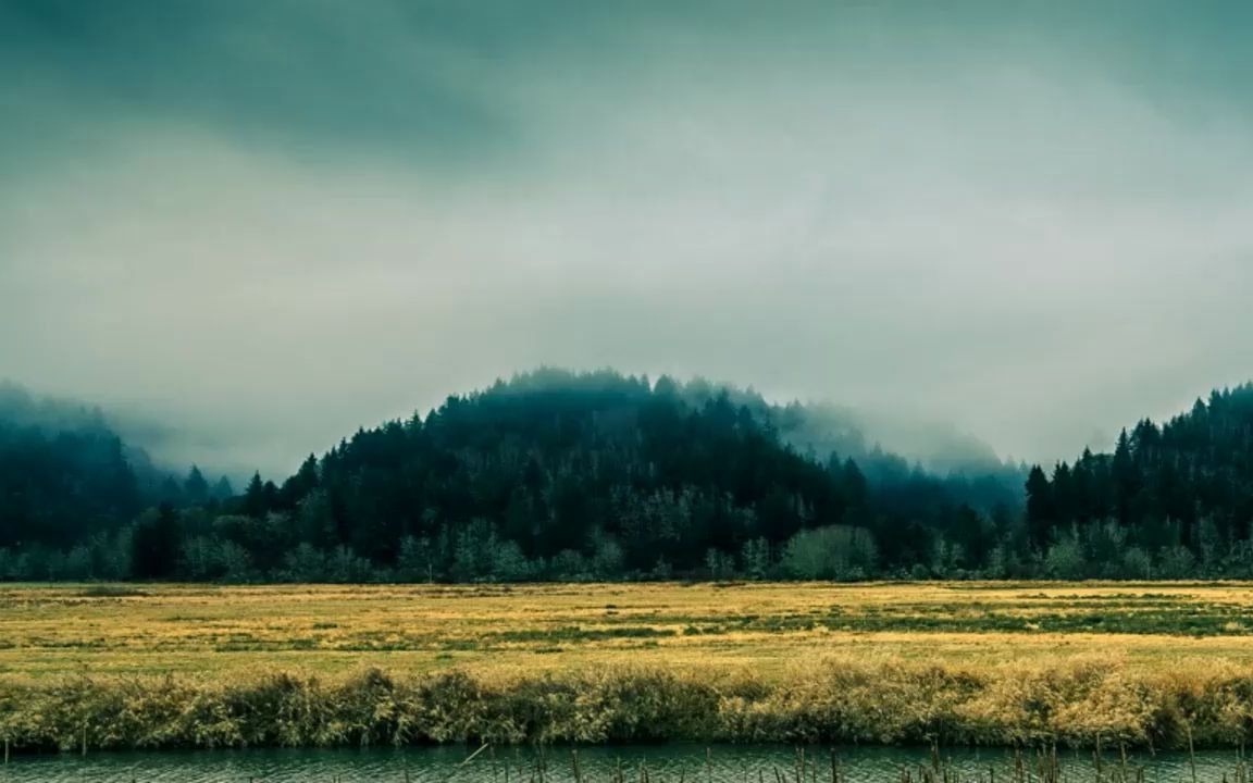 2024上海政治等级考大题课程-k