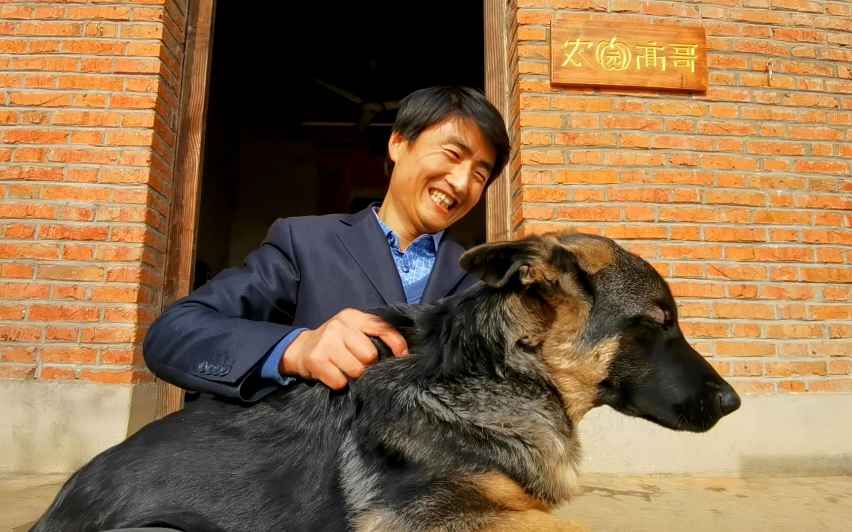 带着英俊的德牧,给农园高哥挂牌,今天是个好日子,毛孩子们吃大餐哔哩哔哩bilibili