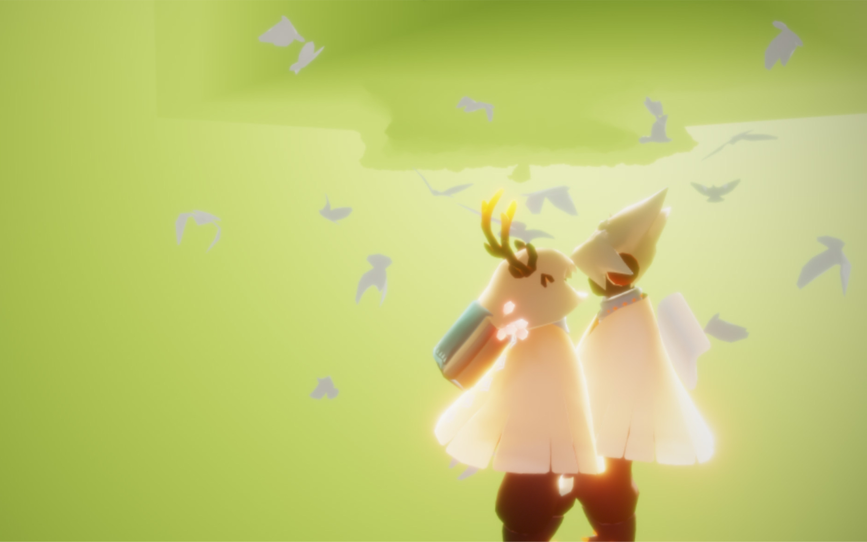 寻光之旅不负相遇