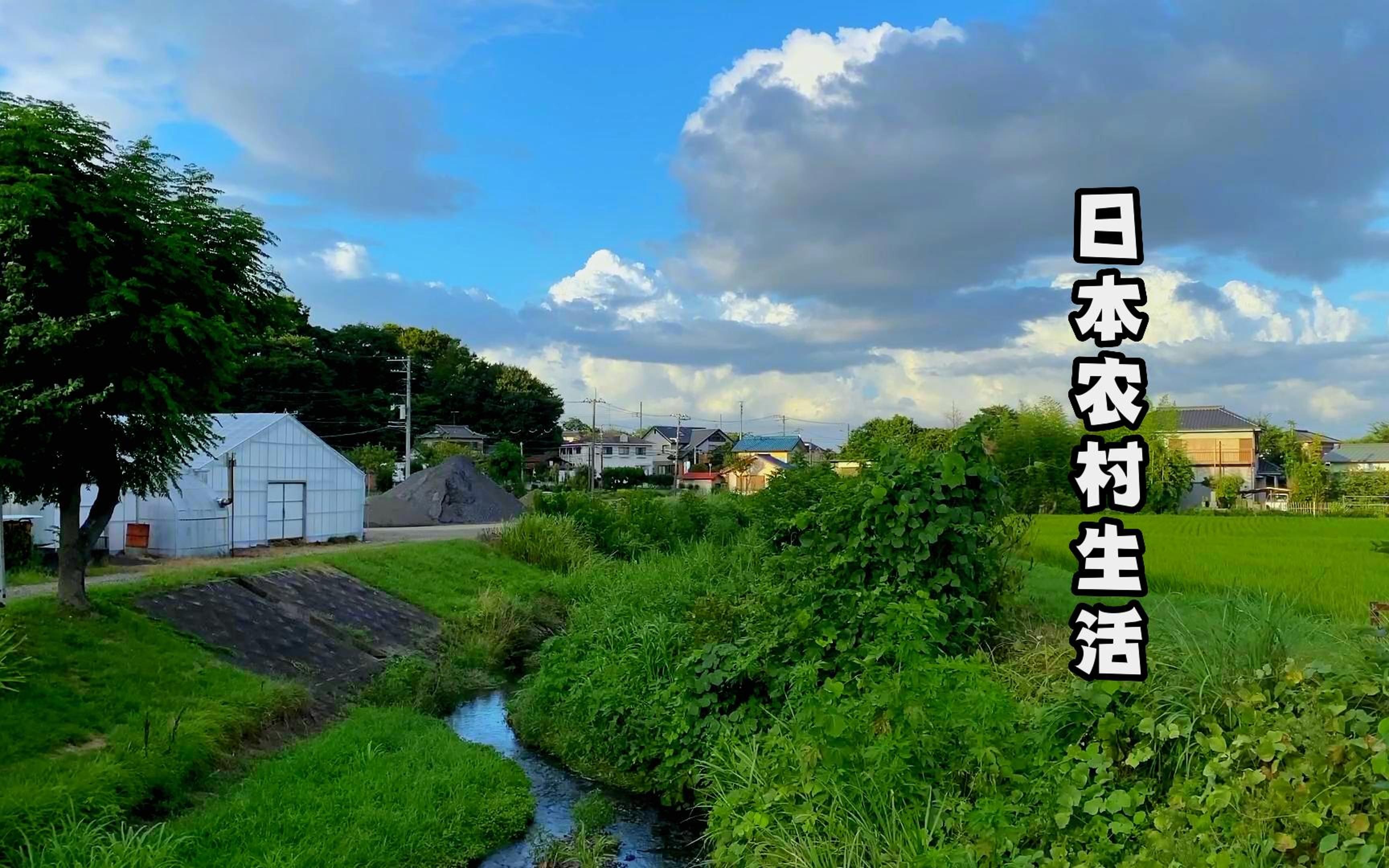 花100日元在日本果农手里买了2个水梨,但是我内心觉得很惭愧.哔哩哔哩bilibili